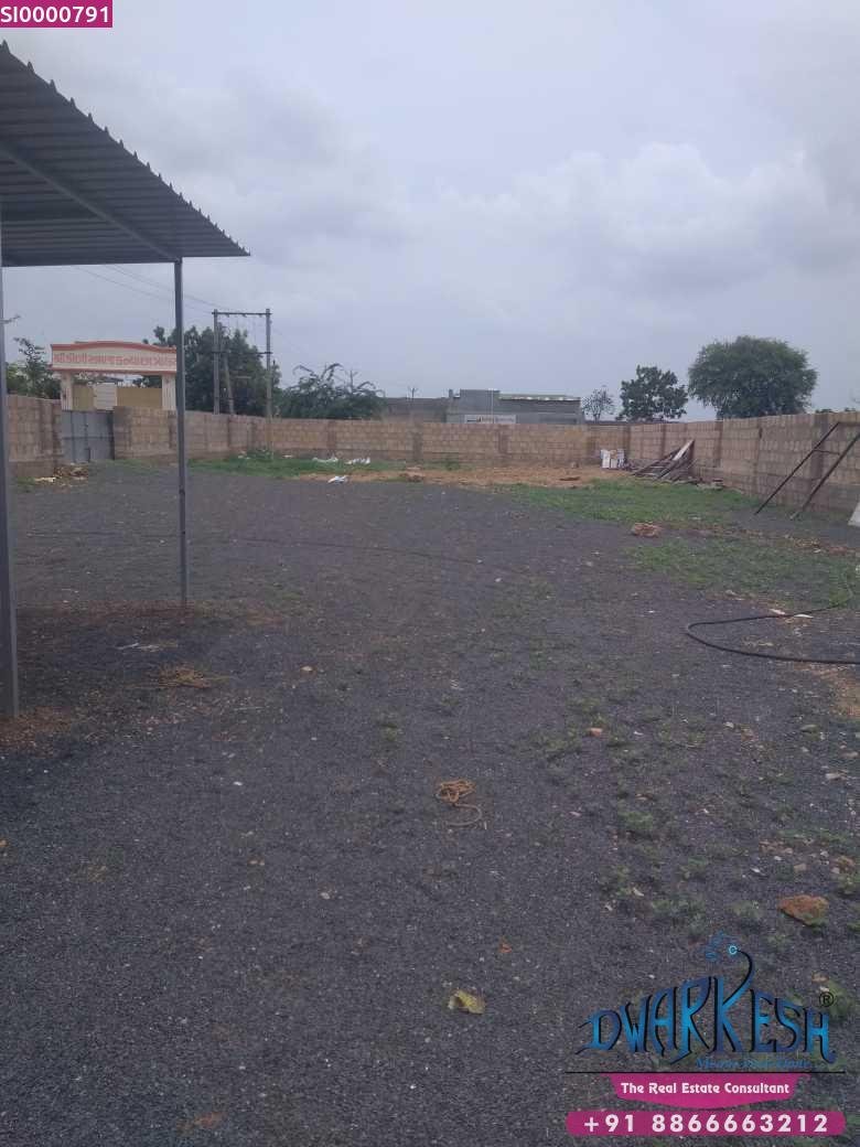  Plot