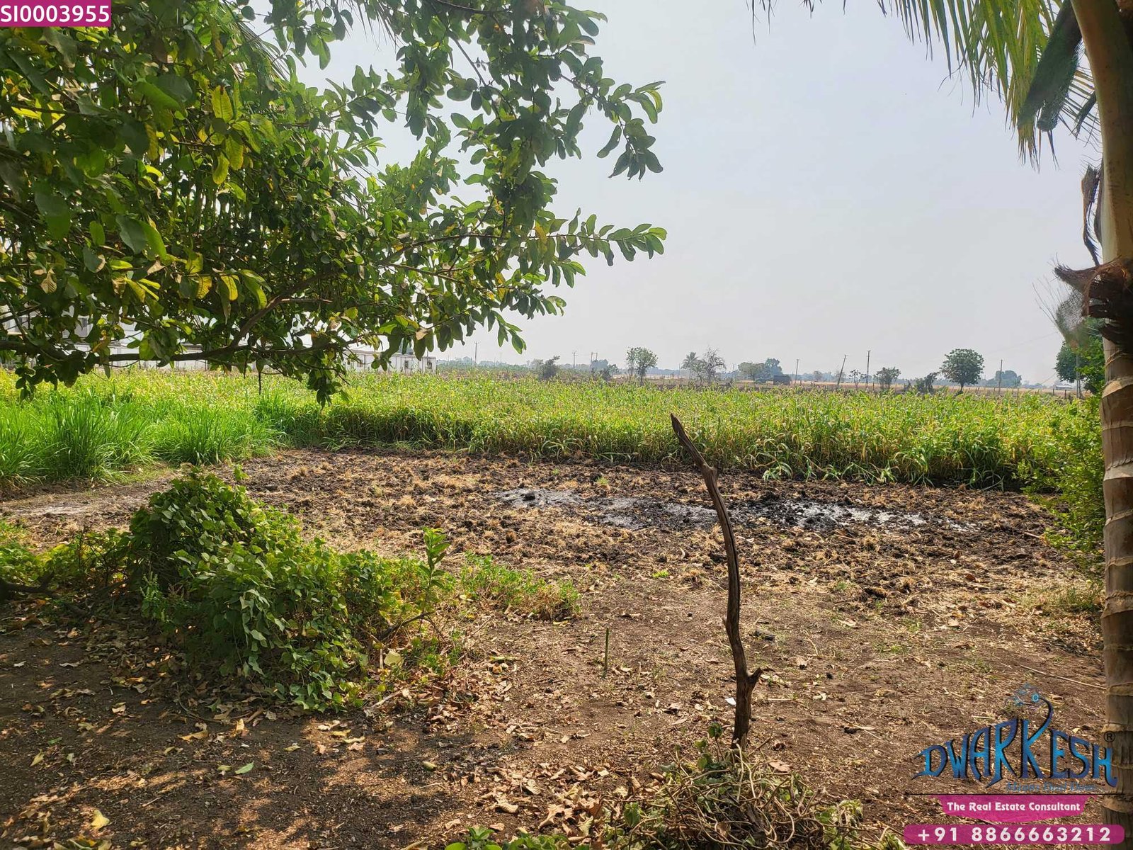  Agriculture Land