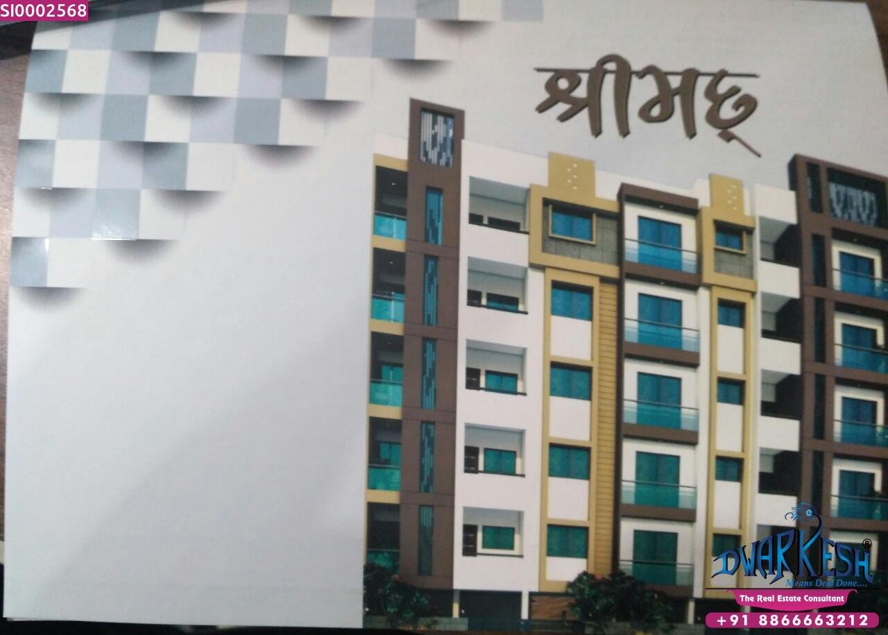 3 BHK Flat