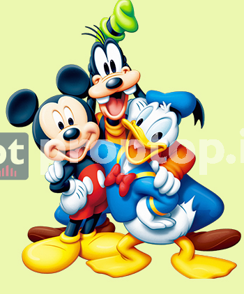 donald 2